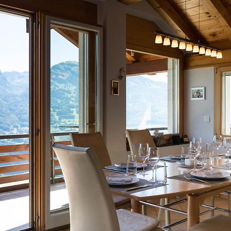 Apartment Penthouse Brugg 艾姆敦 外观 照片