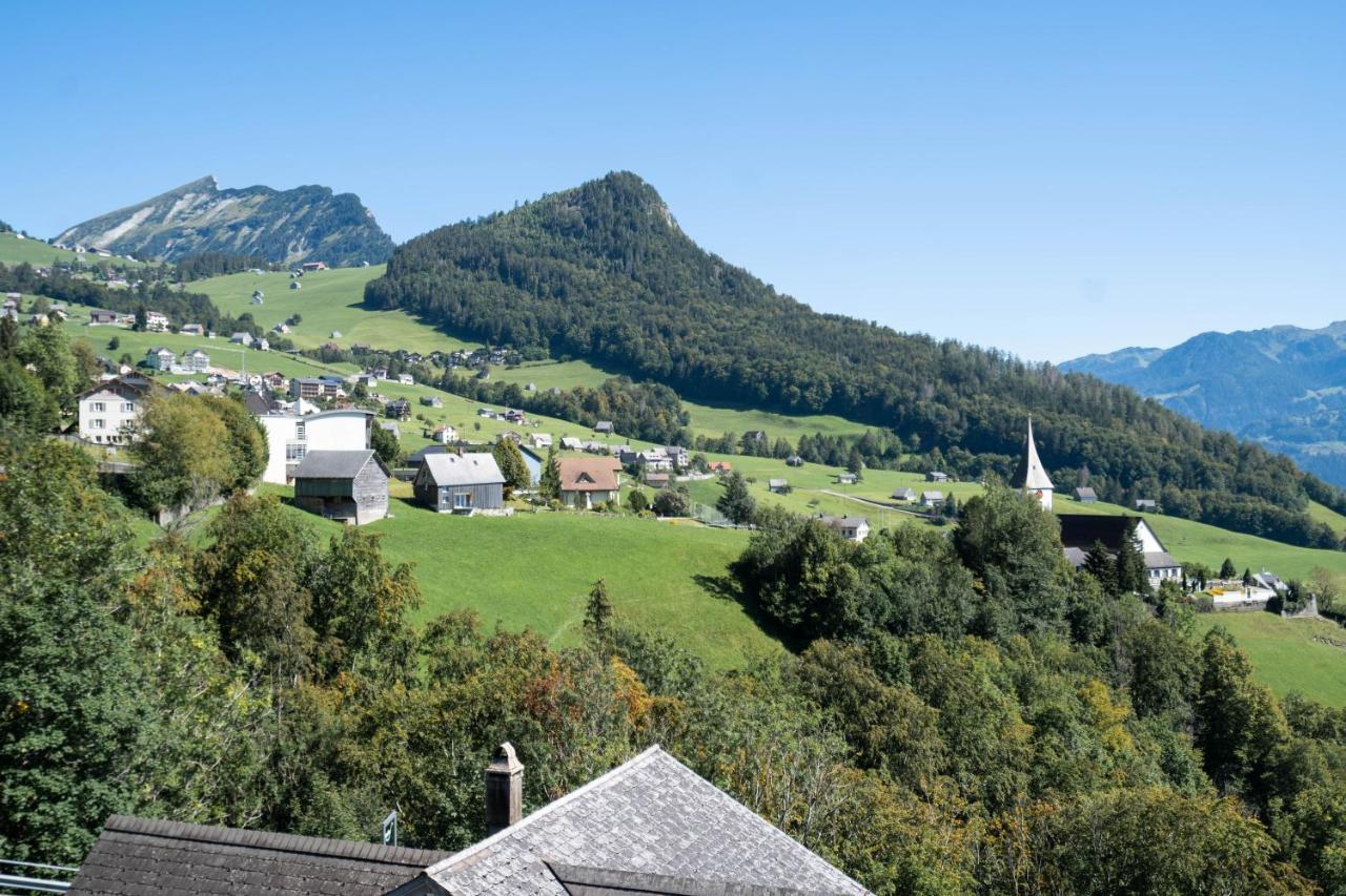 Apartment Penthouse Brugg 艾姆敦 外观 照片
