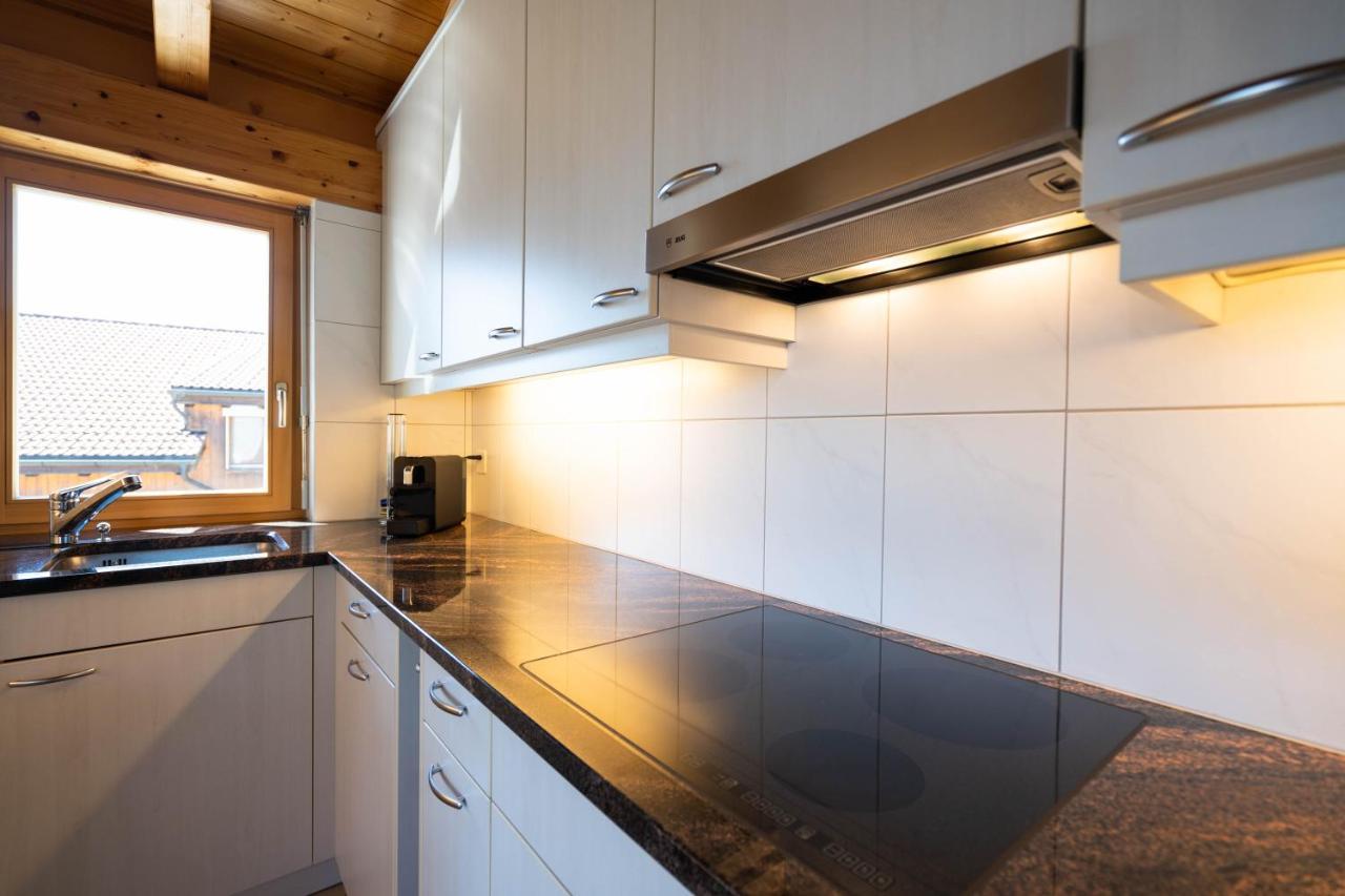 Apartment Penthouse Brugg 艾姆敦 外观 照片