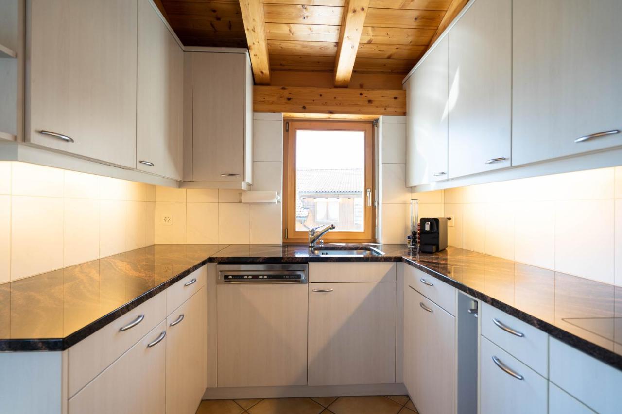 Apartment Penthouse Brugg 艾姆敦 外观 照片